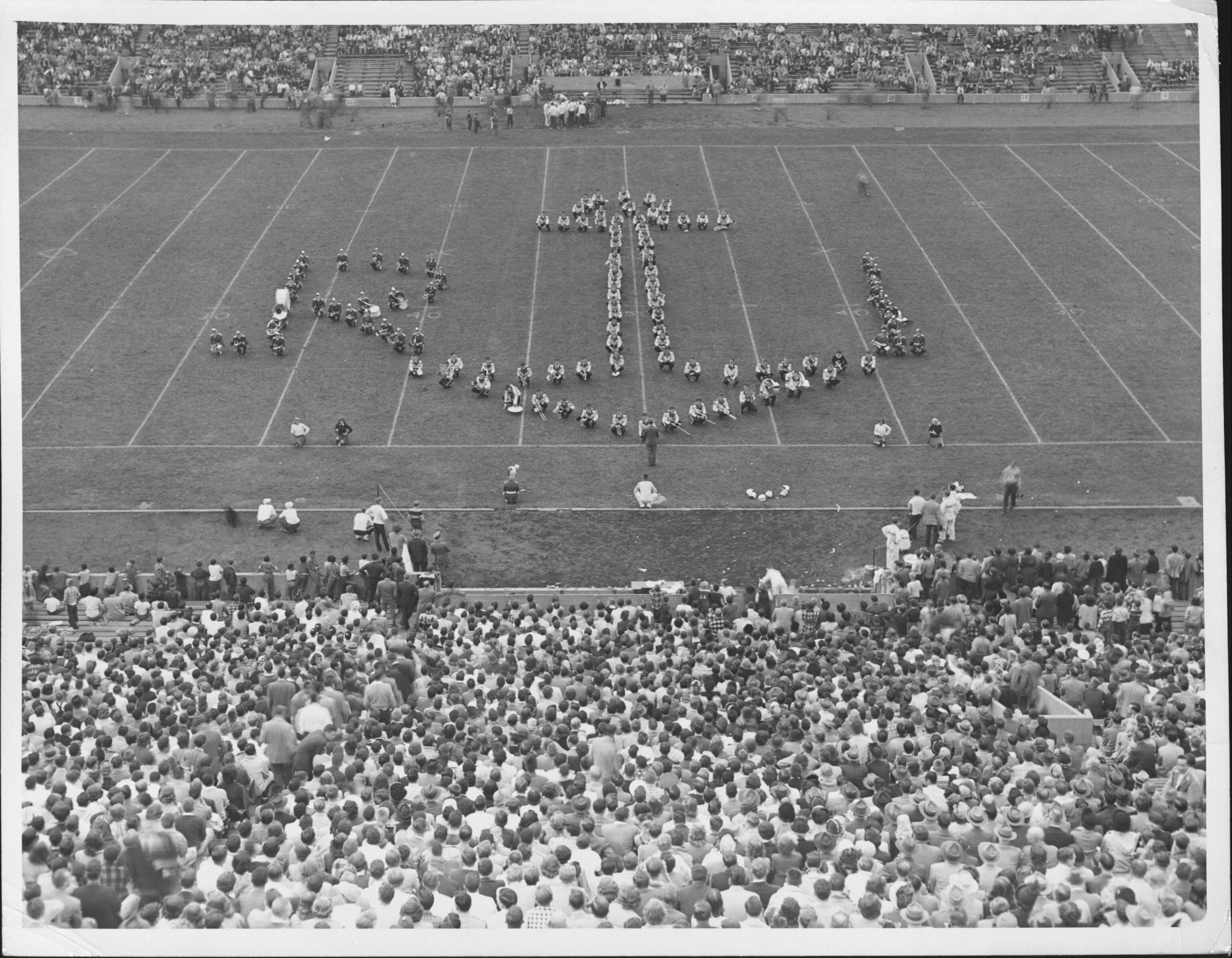 Brown Band forms an anchor