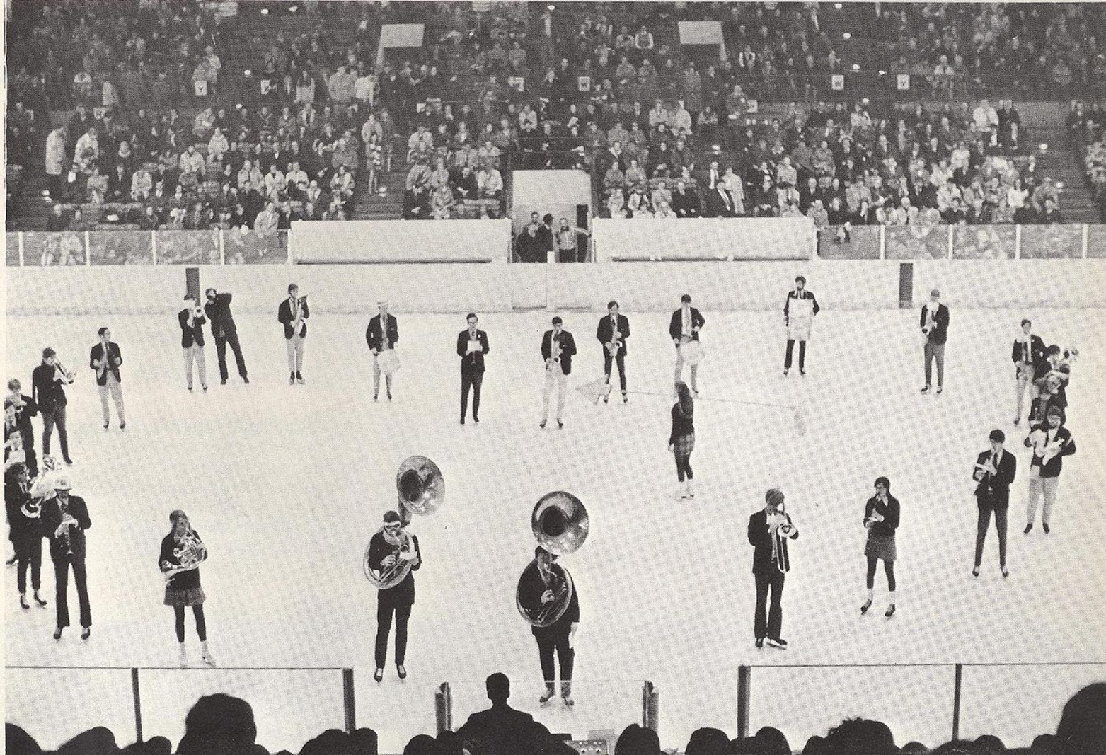 Brown Band forms a heart on ice 