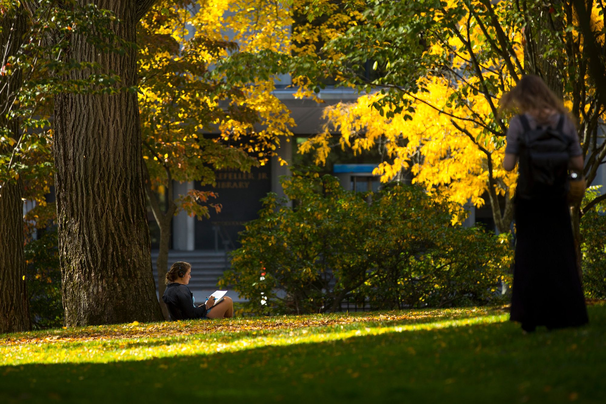 Person seated at base of tree