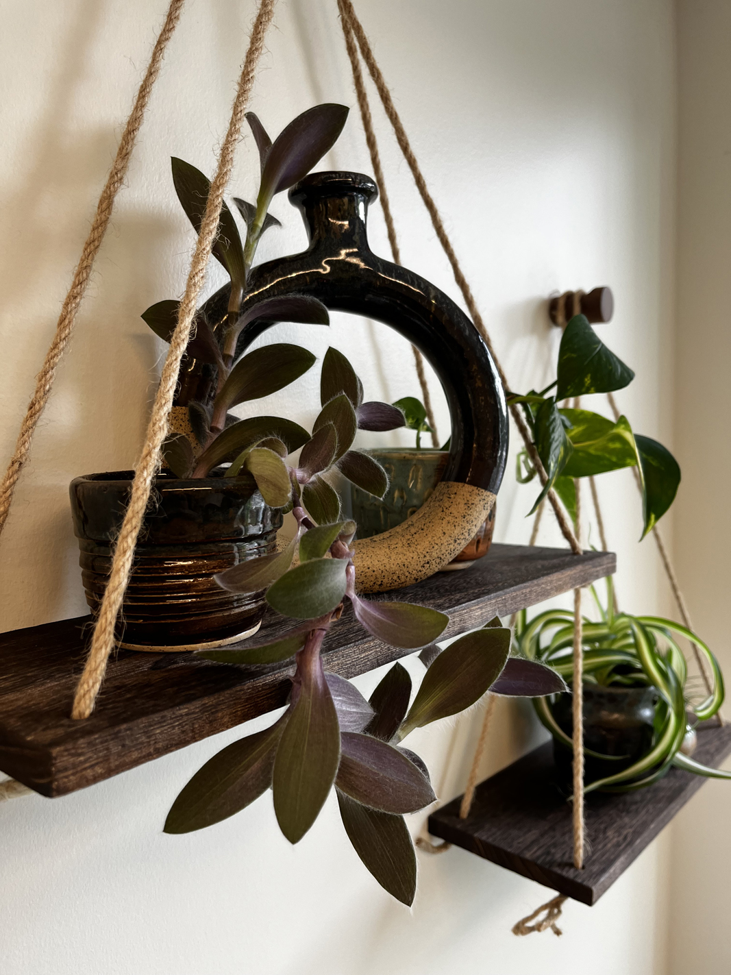 pottery piece by allison seeley next to plants on shelf