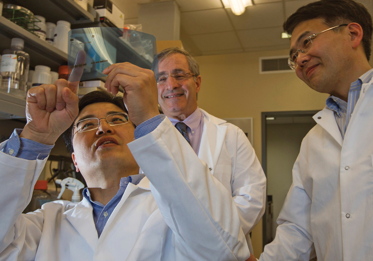 Scientists working in Jack Elias lab