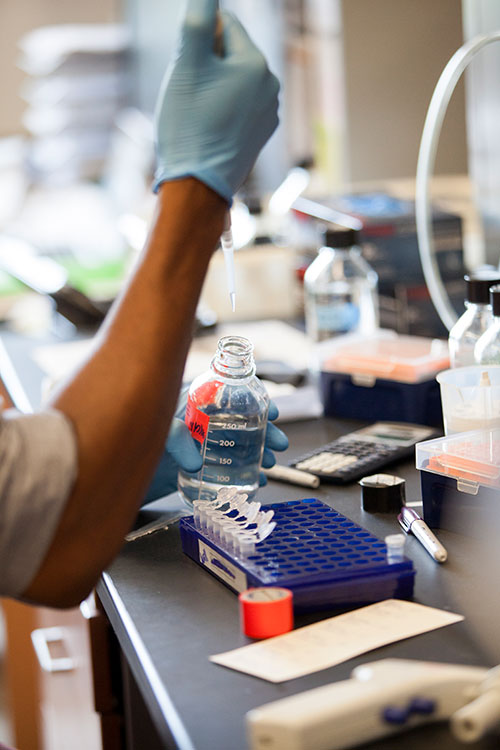 Jordon working in a lab