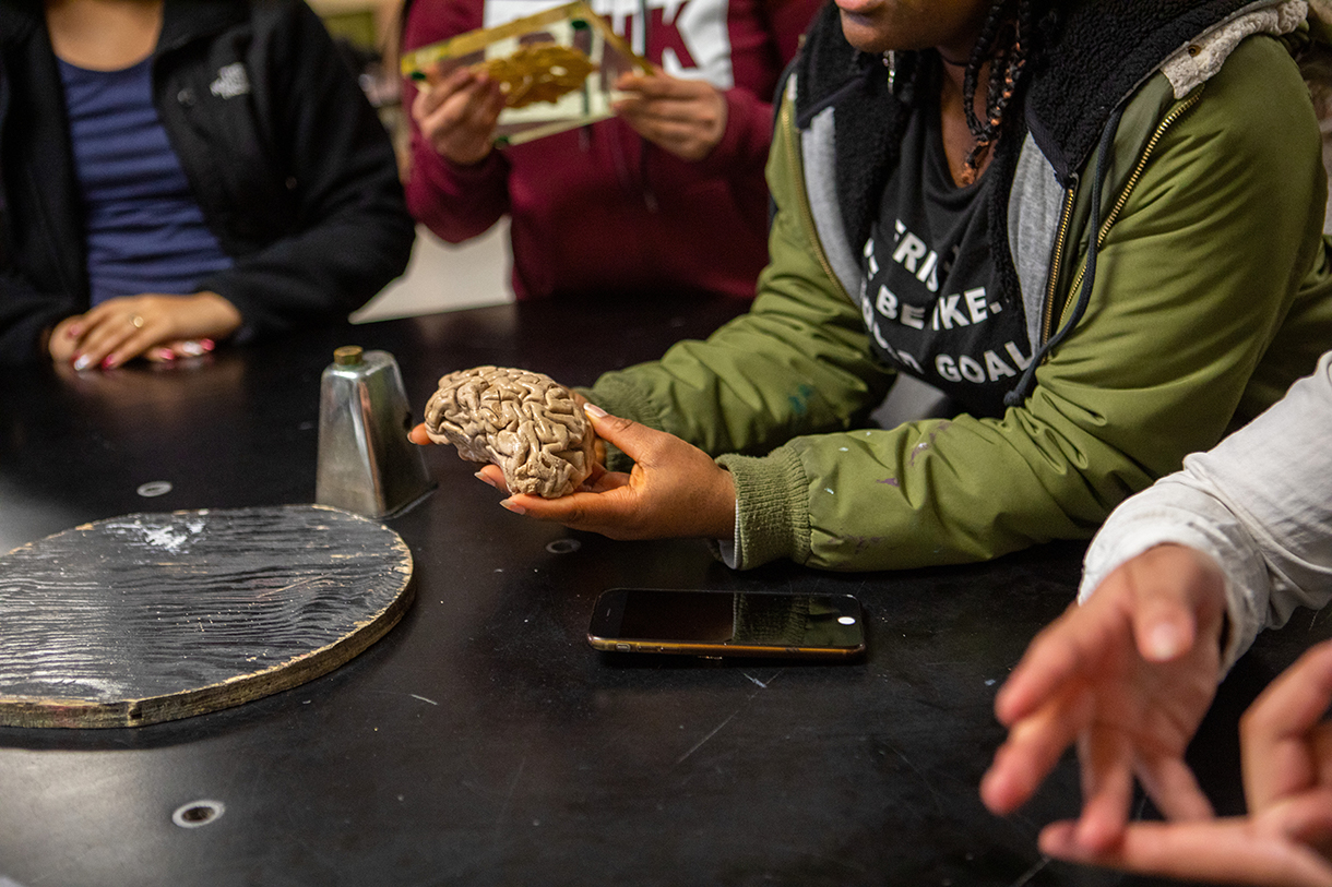 Student holding brain