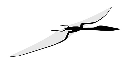 Rendering of the bat-like flight pose