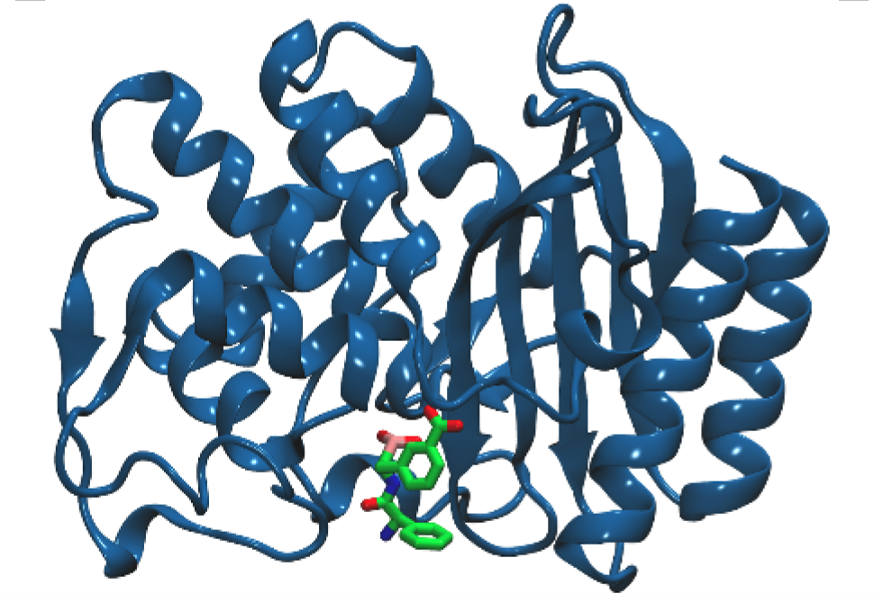 Illustration of TEM-1 beta-lactamase