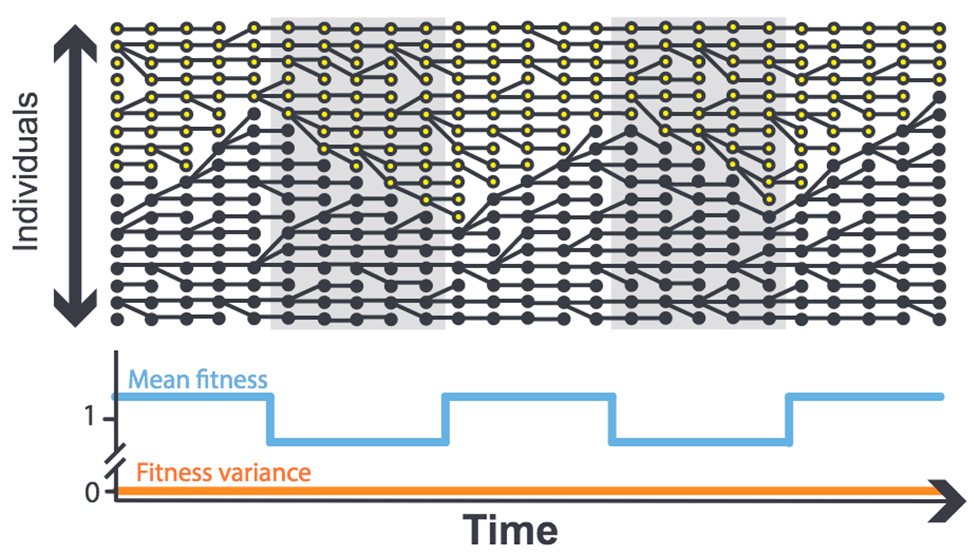 Graph of time to individual