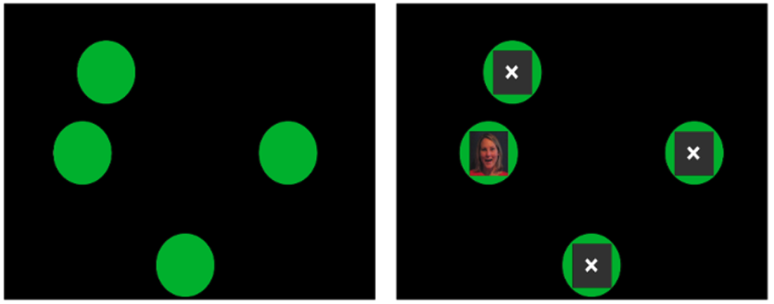 Circles and faces diagram