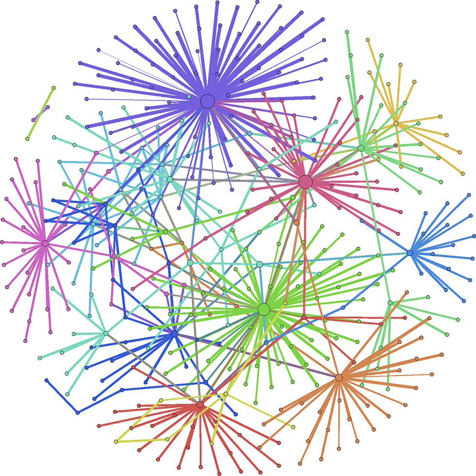 Computer rendering of networks of gene expression in the brain