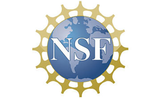 NSF Logo