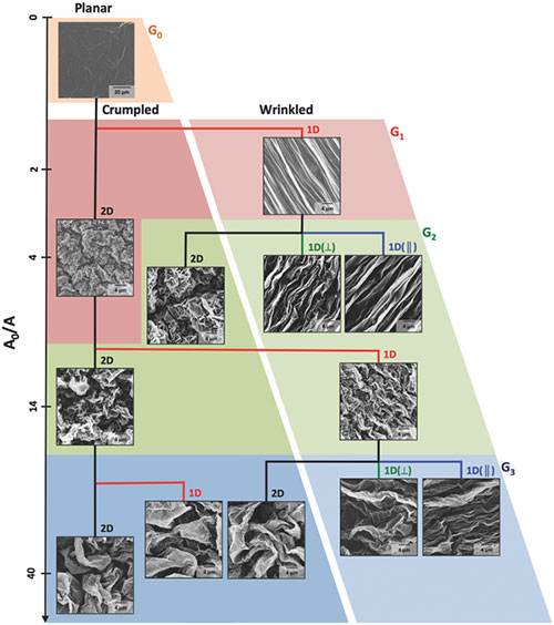 Graph of shrinking