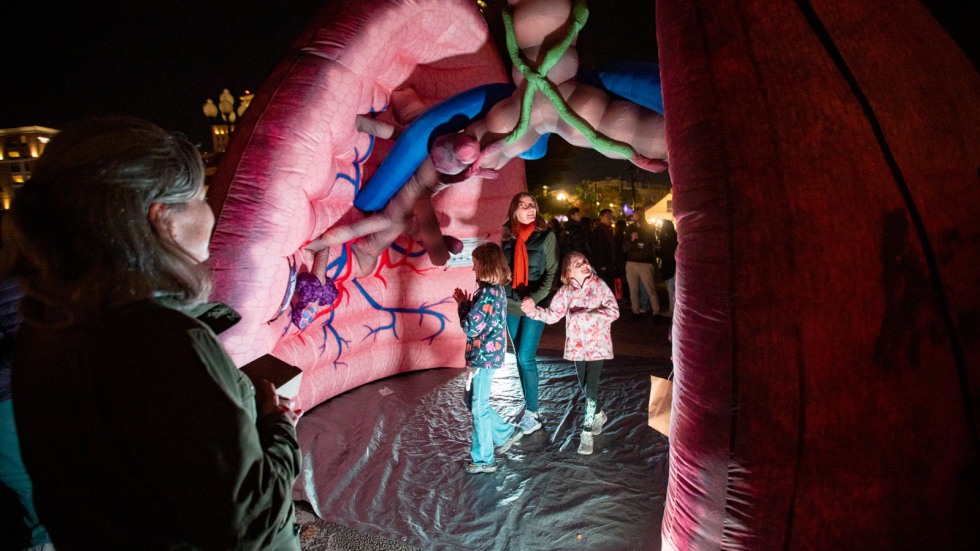 Lungs exhibit